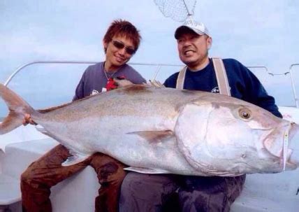 夢見釣到大魚|夢見釣大魚